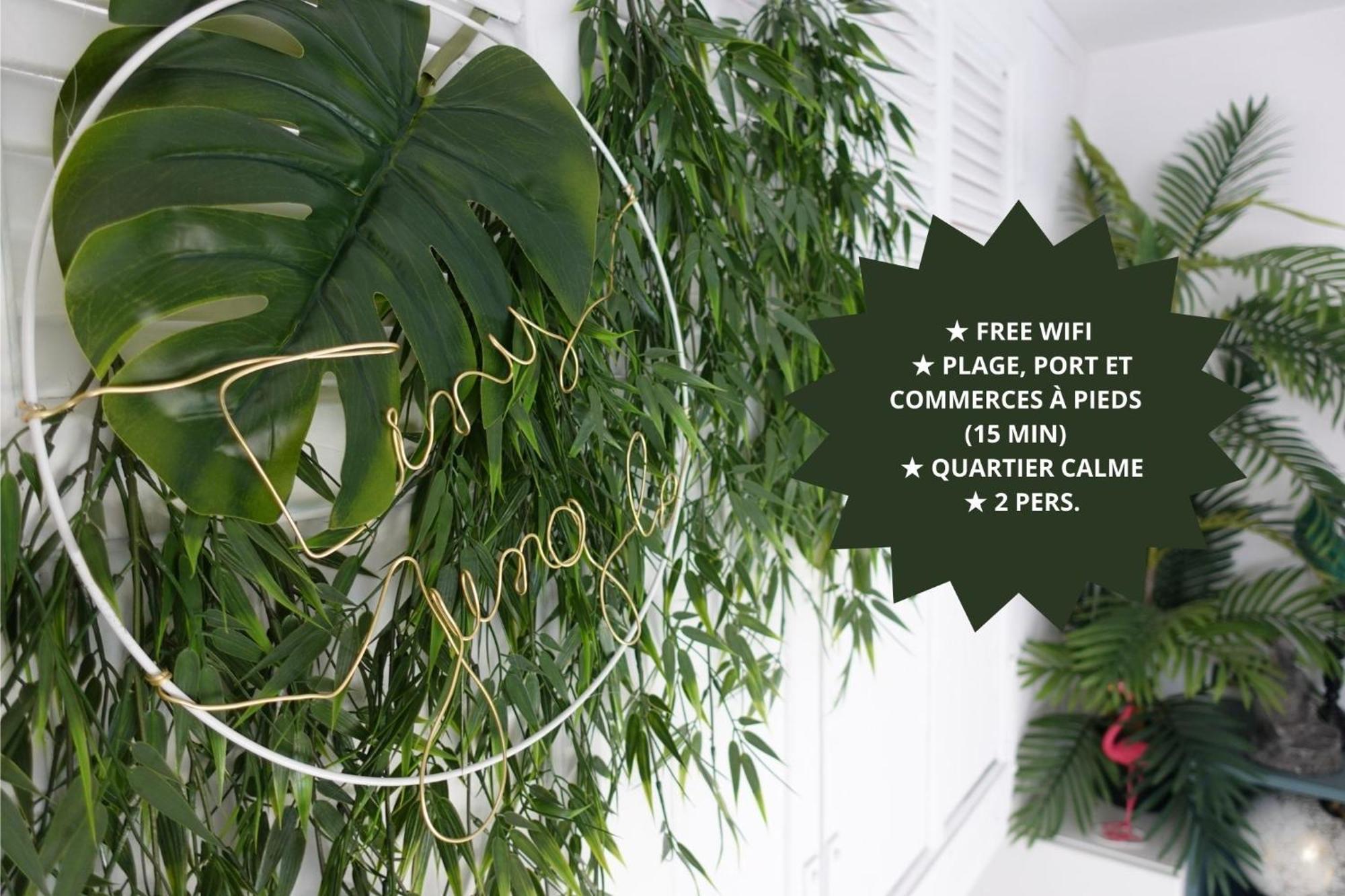*Tiny Jungle* / Plage, Port Et Commerces A Pied โซเซ-เล-แป็ง ภายนอก รูปภาพ