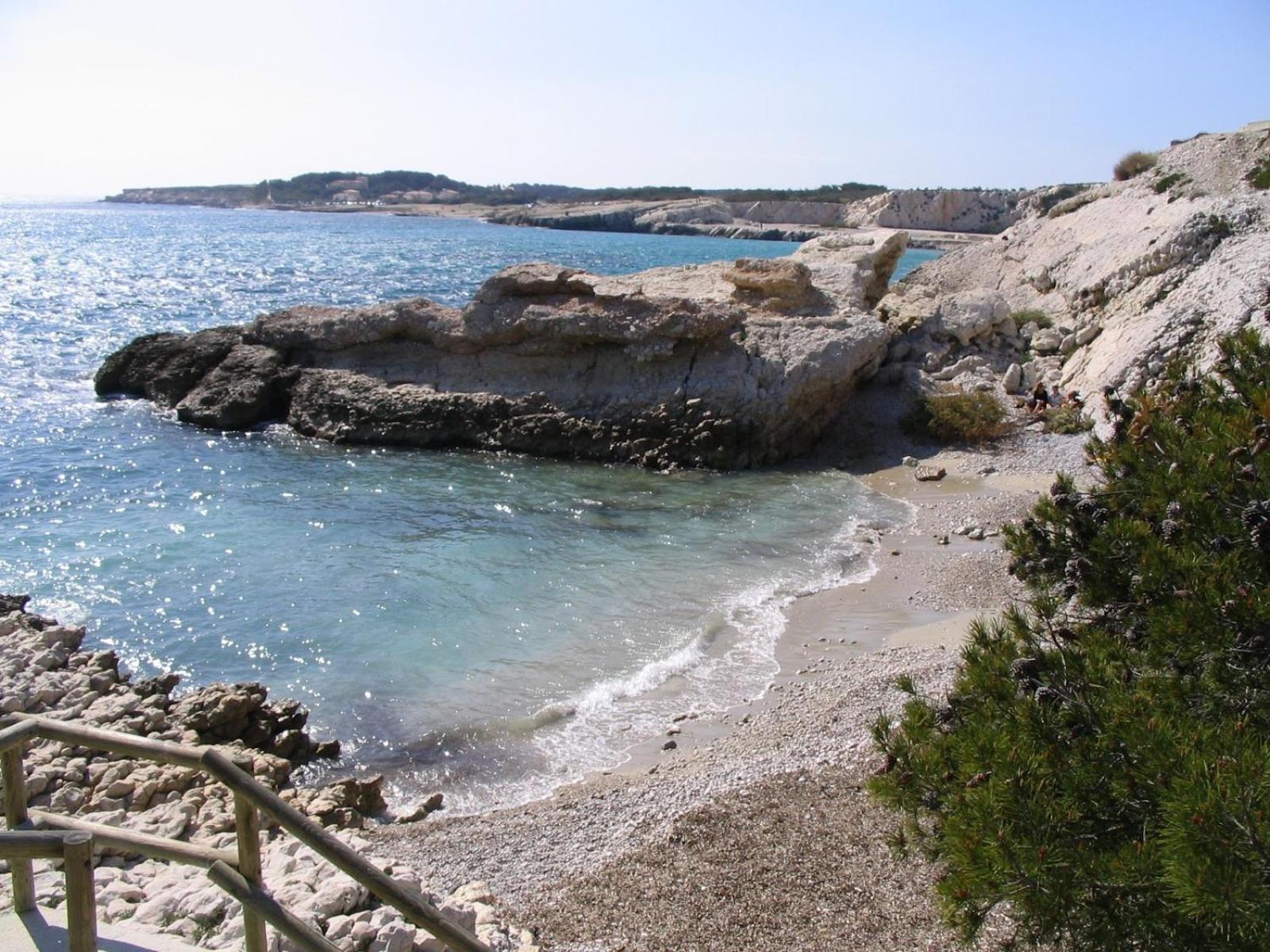 *Tiny Jungle* / Plage, Port Et Commerces A Pied โซเซ-เล-แป็ง ภายนอก รูปภาพ